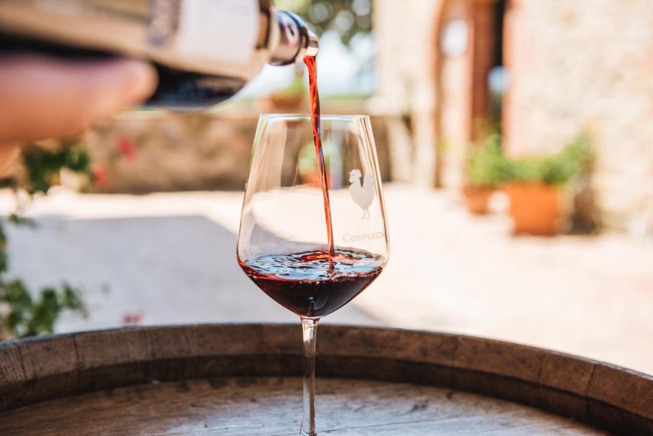 Agriturismo Amina, Winery & Hiking Vagliagli Екстер'єр фото