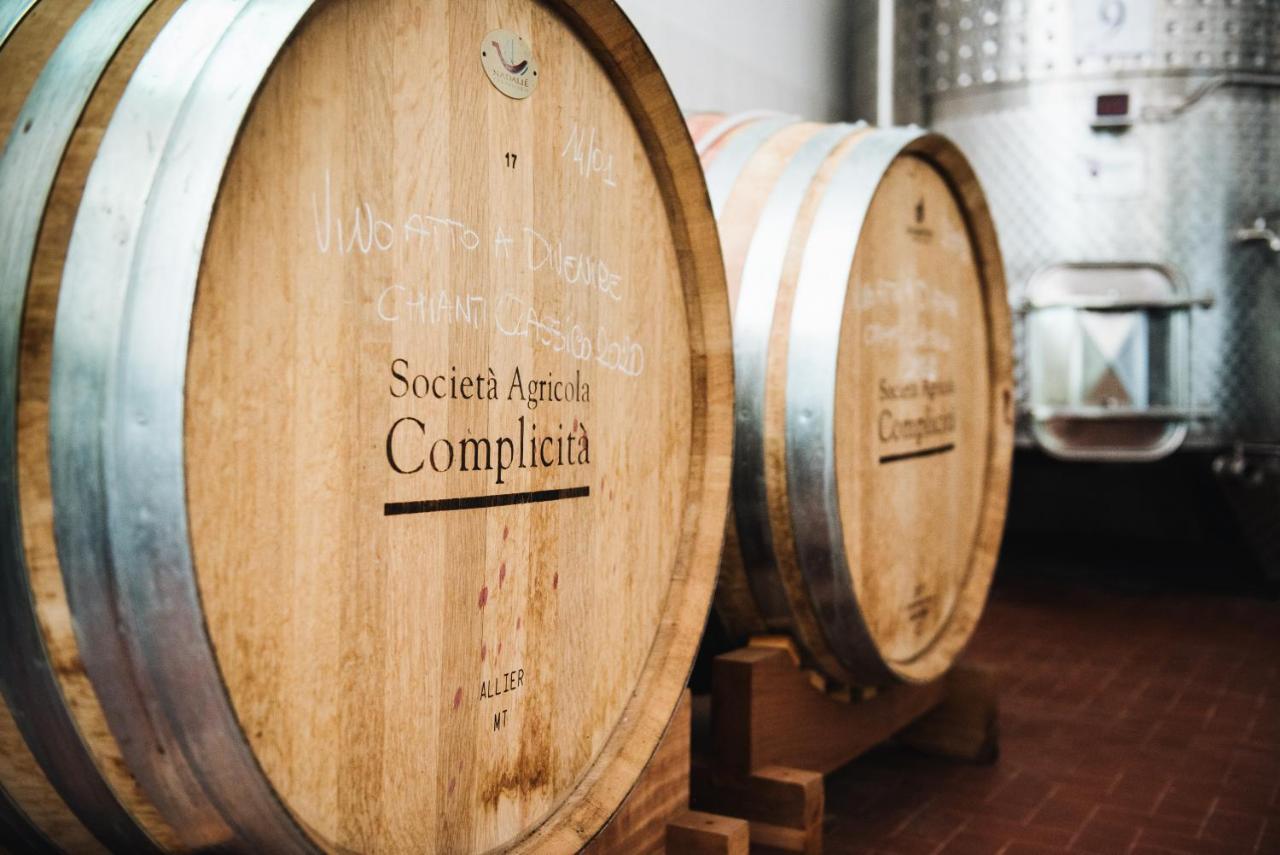 Agriturismo Amina, Winery & Hiking Vagliagli Екстер'єр фото