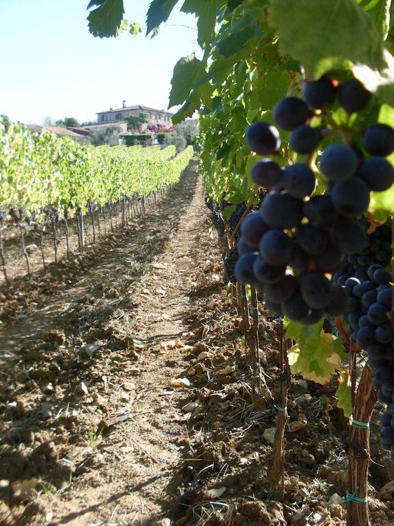 Agriturismo Amina, Winery & Hiking Vagliagli Екстер'єр фото