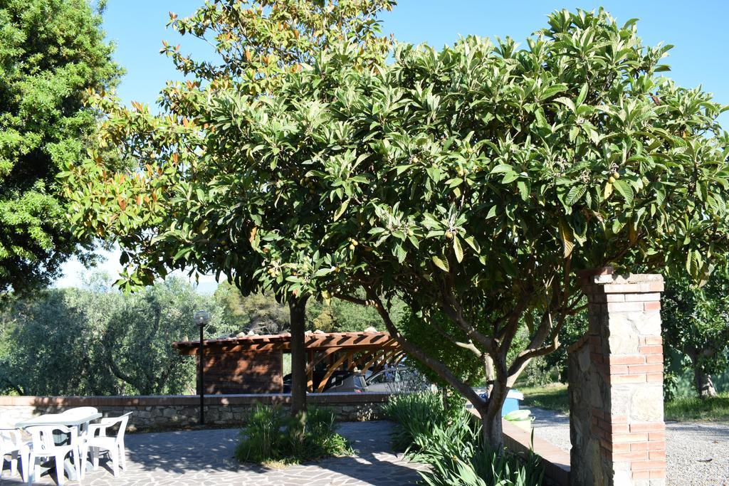 Agriturismo Amina, Winery & Hiking Vagliagli Екстер'єр фото