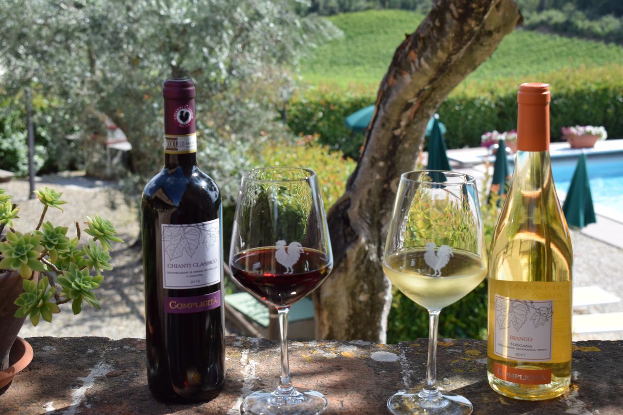 Agriturismo Amina, Winery & Hiking Vagliagli Екстер'єр фото