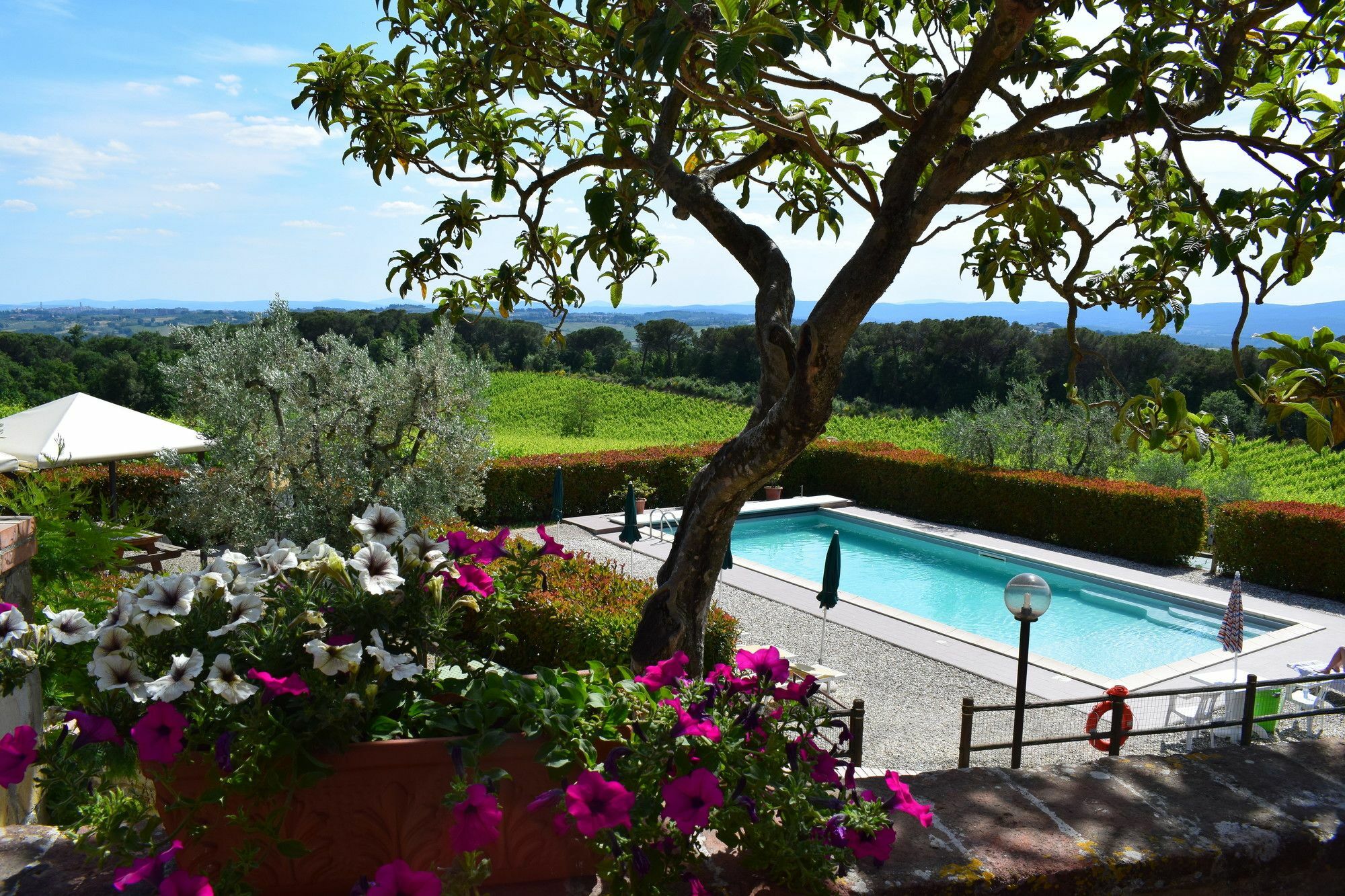 Agriturismo Amina, Winery & Hiking Vagliagli Екстер'єр фото