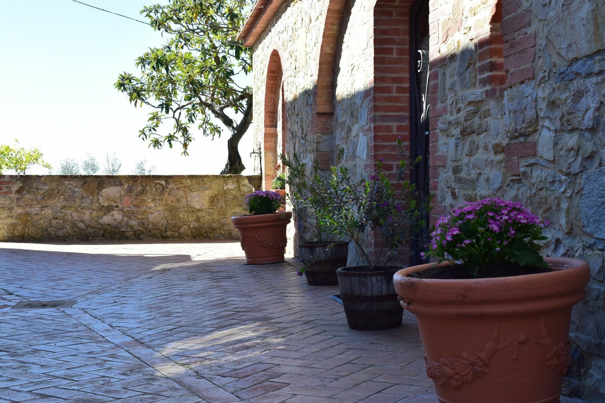Agriturismo Amina, Winery & Hiking Vagliagli Екстер'єр фото